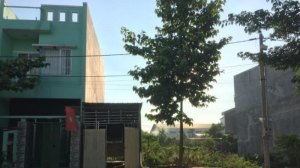 Bán Đất Nền Mặt Tiền Trần Đại Nghĩa Giá Từ 14-18tr